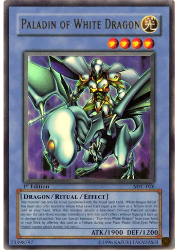 Paladin of White Dragon
