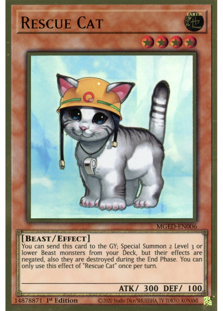 Rescue Cat
