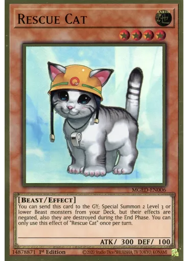 Rescue Cat