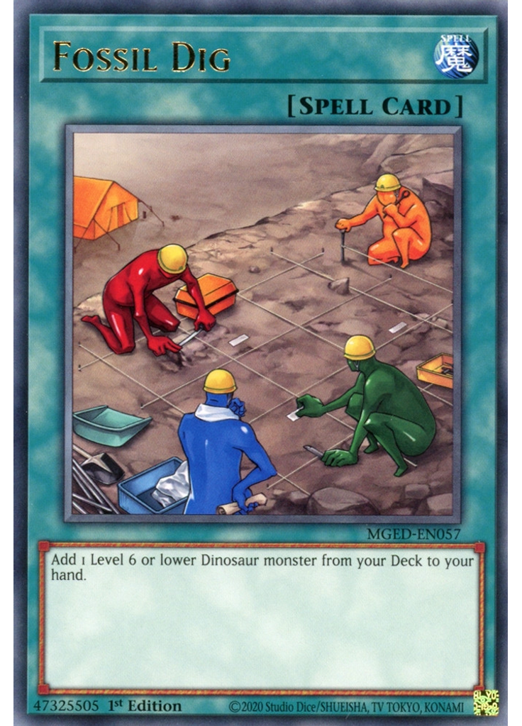 Fossil Dig