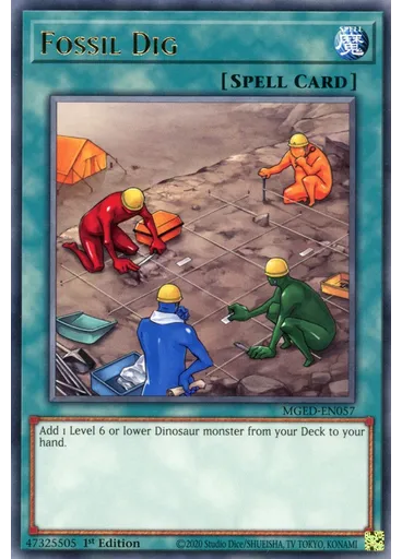 Fossil Dig