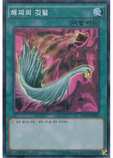 해피의 깃털