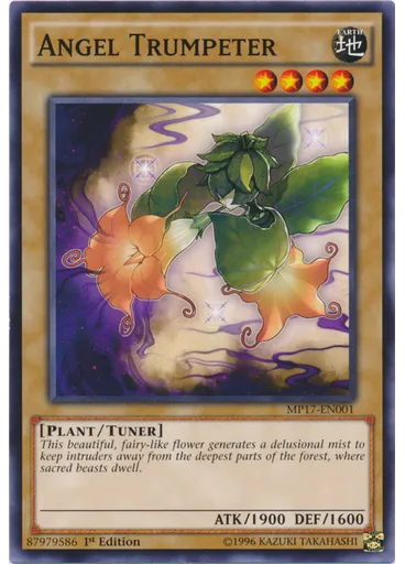 Angel Trumpeter
