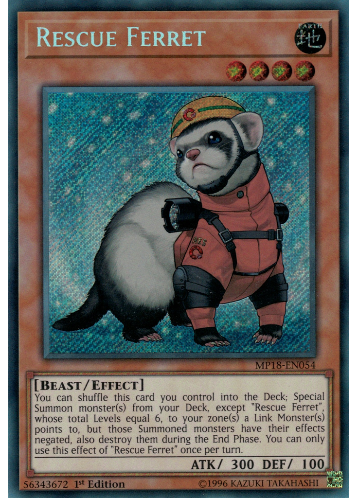 Rescue Ferret