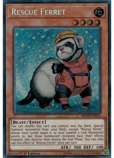 Rescue Ferret