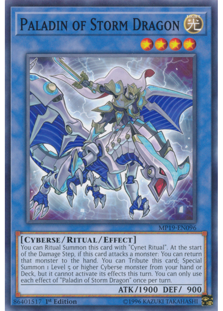 Paladin of Storm Dragon