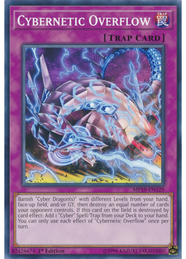 Cybernetic Overflow