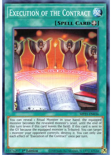 Execution of the Contract