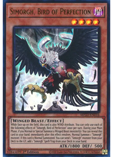 Simorgh, Bird of Perfection