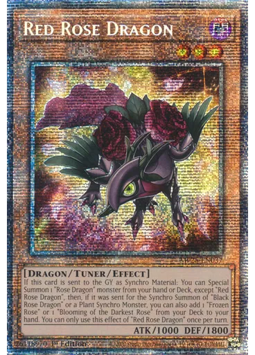 Red Rose Dragon