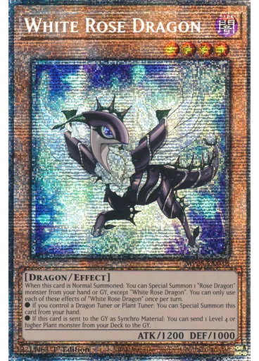White Rose Dragon