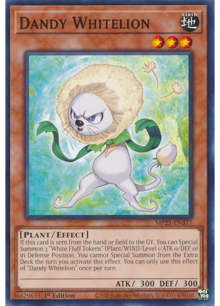 Dandy Whitelion