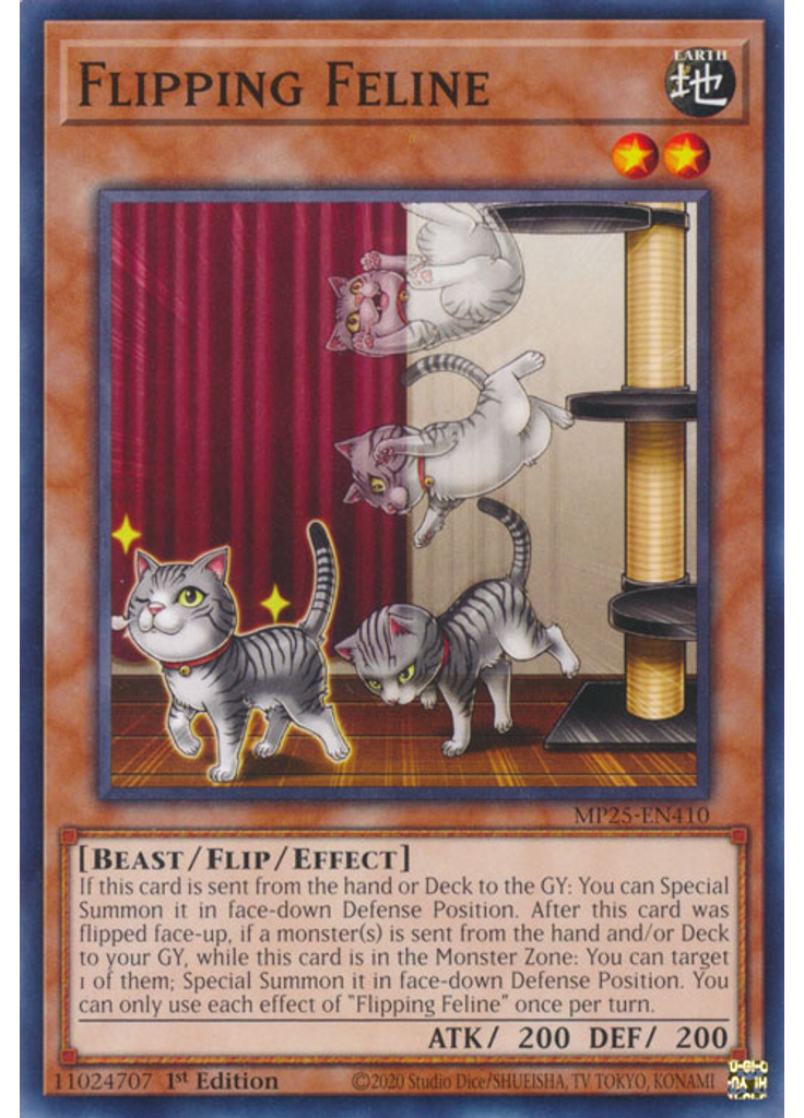 Flipping Feline