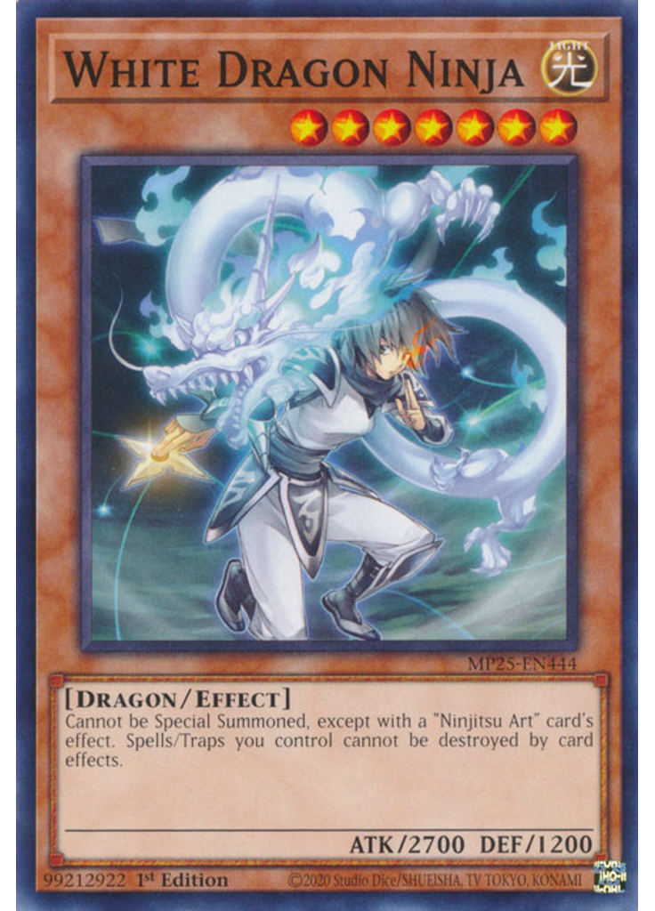 White Dragon Ninja