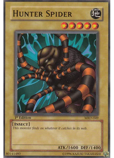 Hunter Spider