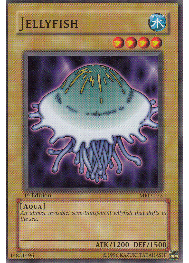 Jellyfish