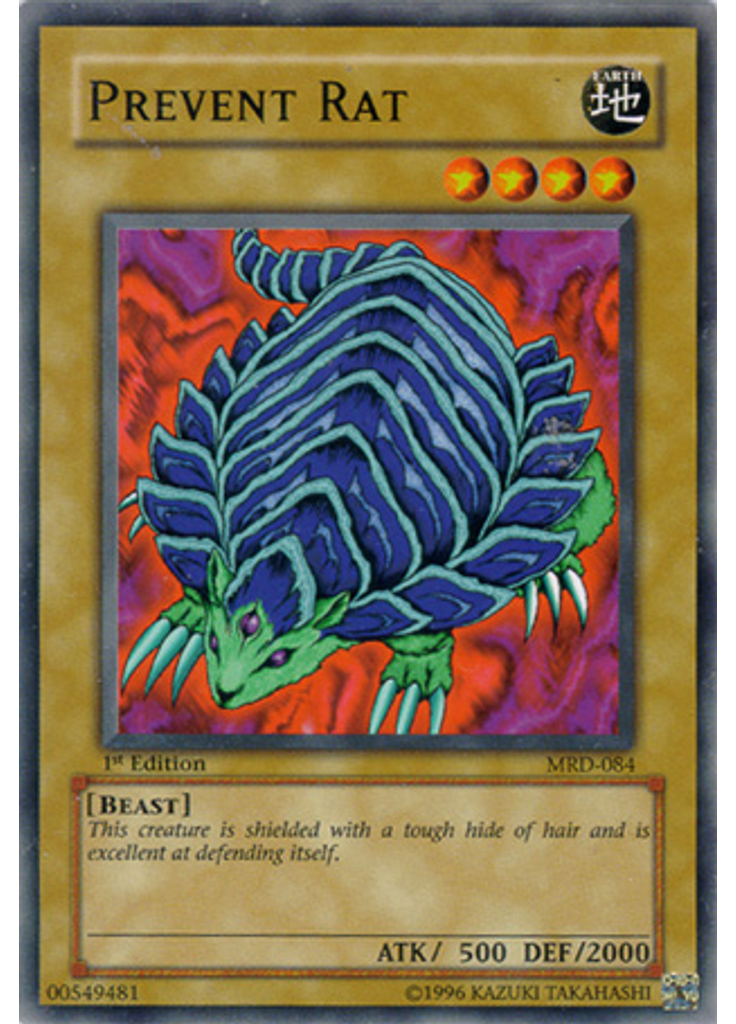 Prevent Rat