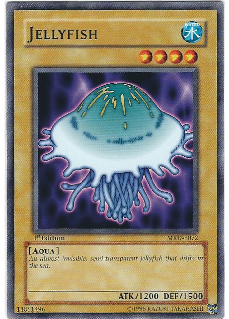 Jellyfish