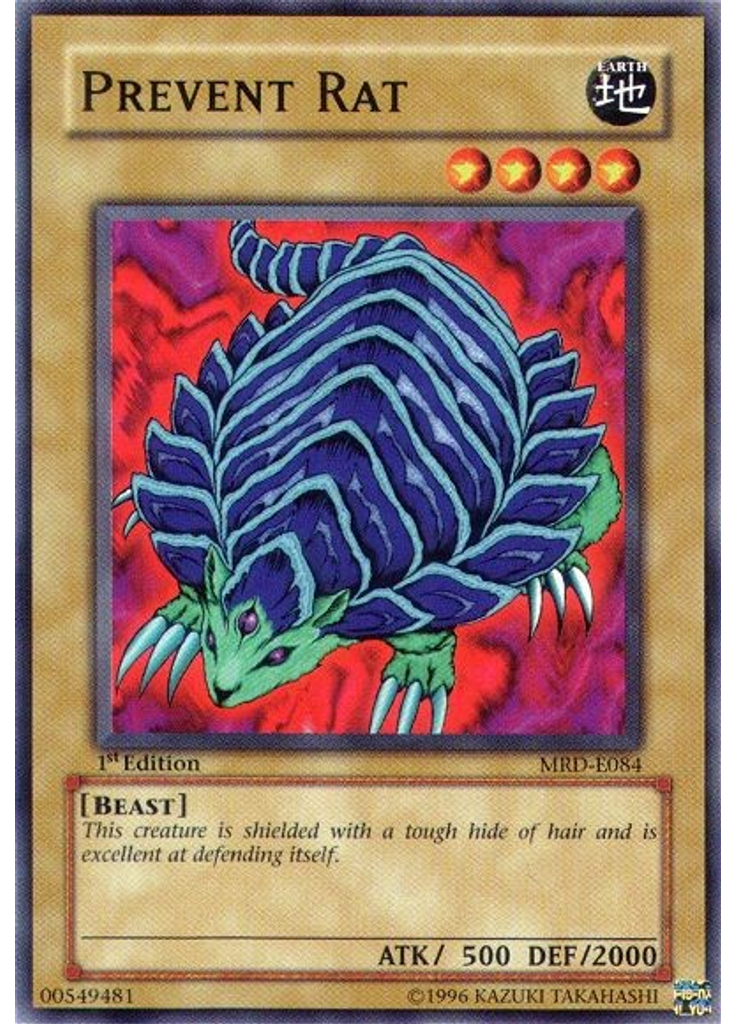 Prevent Rat