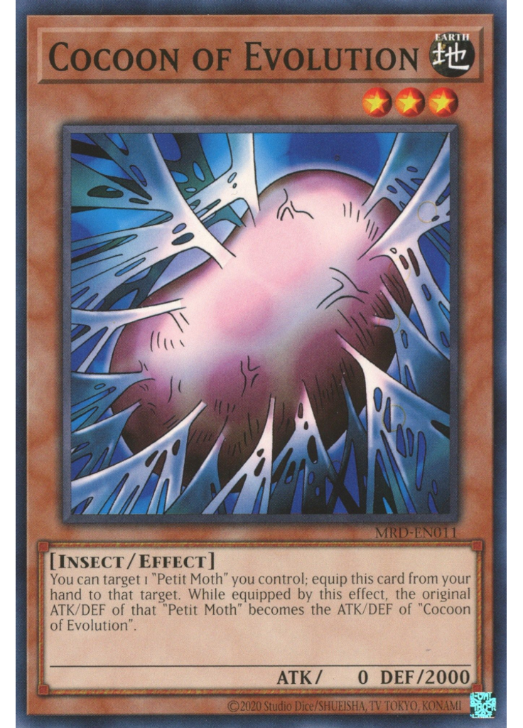Cocoon of Evolution