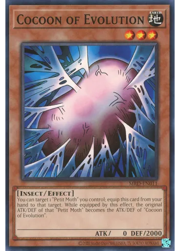 Cocoon of Evolution