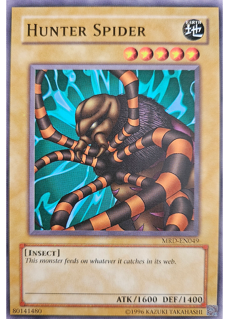 Hunter Spider