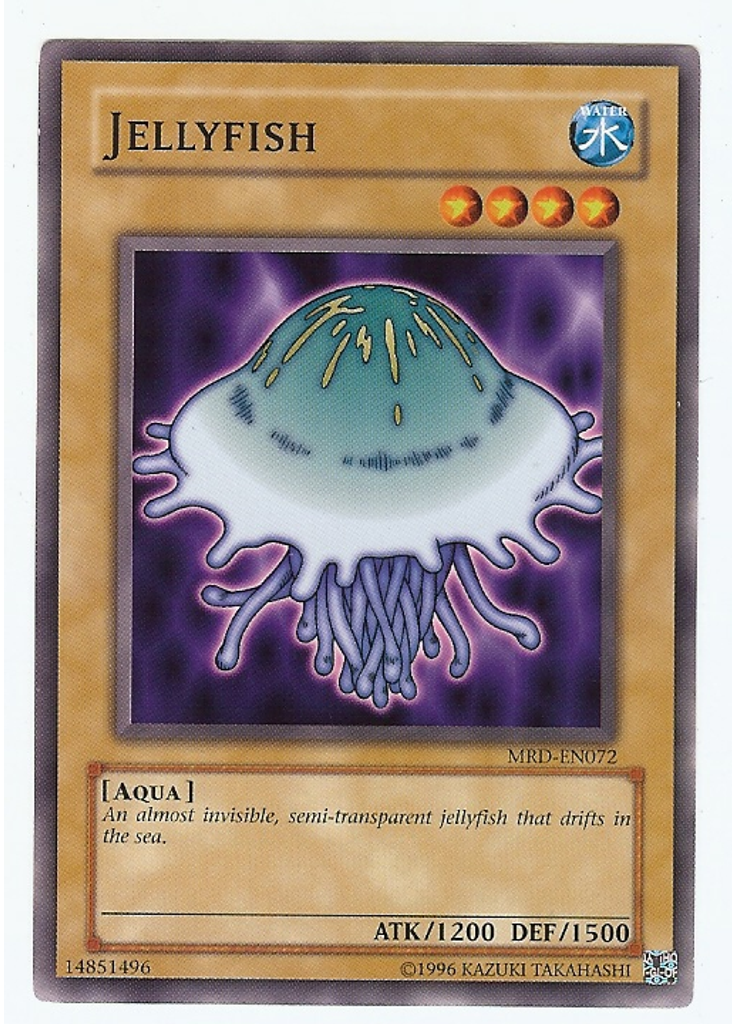 Jellyfish
