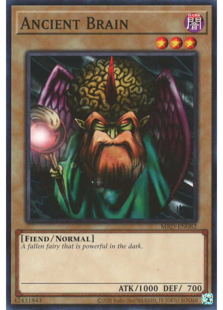 Ancient Brain (Common Unlimited 25th Anniversary Edition)