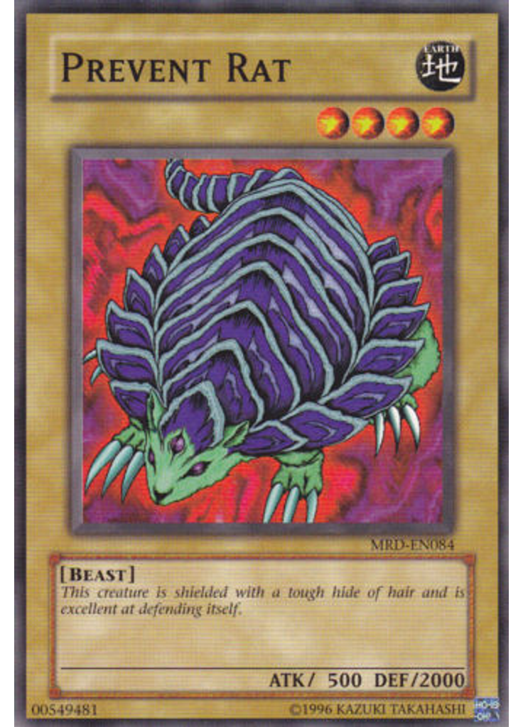 Prevent Rat