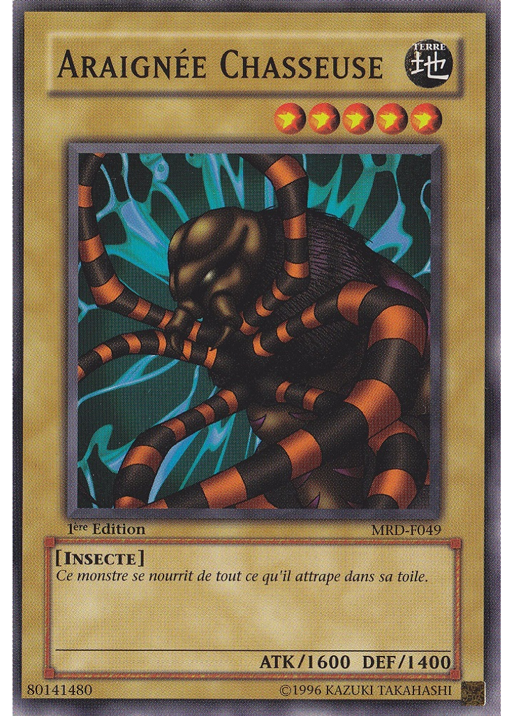 Araignée Chasseuse