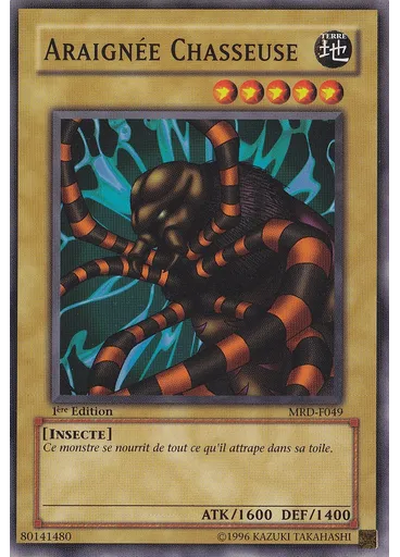 Araignée Chasseuse
