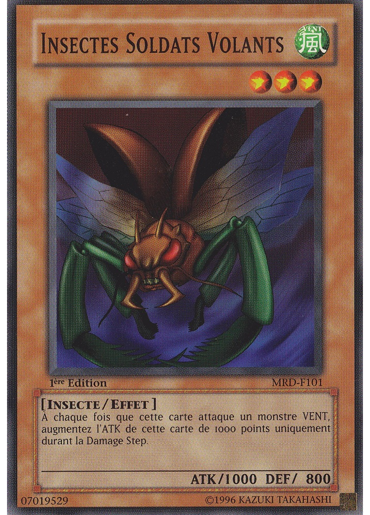 Insectes Soldats Volants