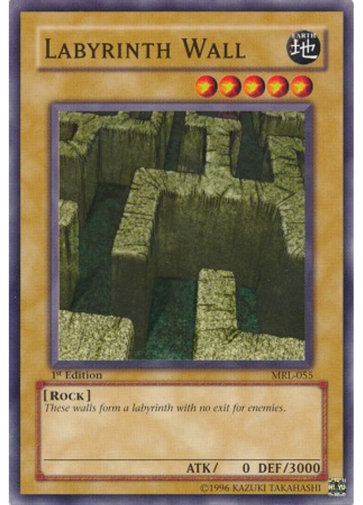 Labyrinth Wall