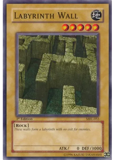 Labyrinth Wall