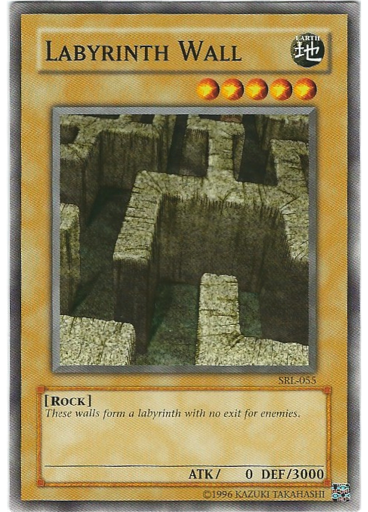 Labyrinth Wall