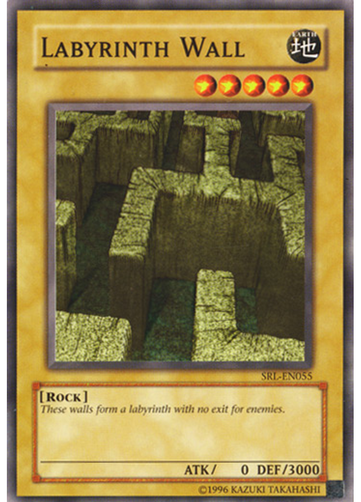 Labyrinth Wall