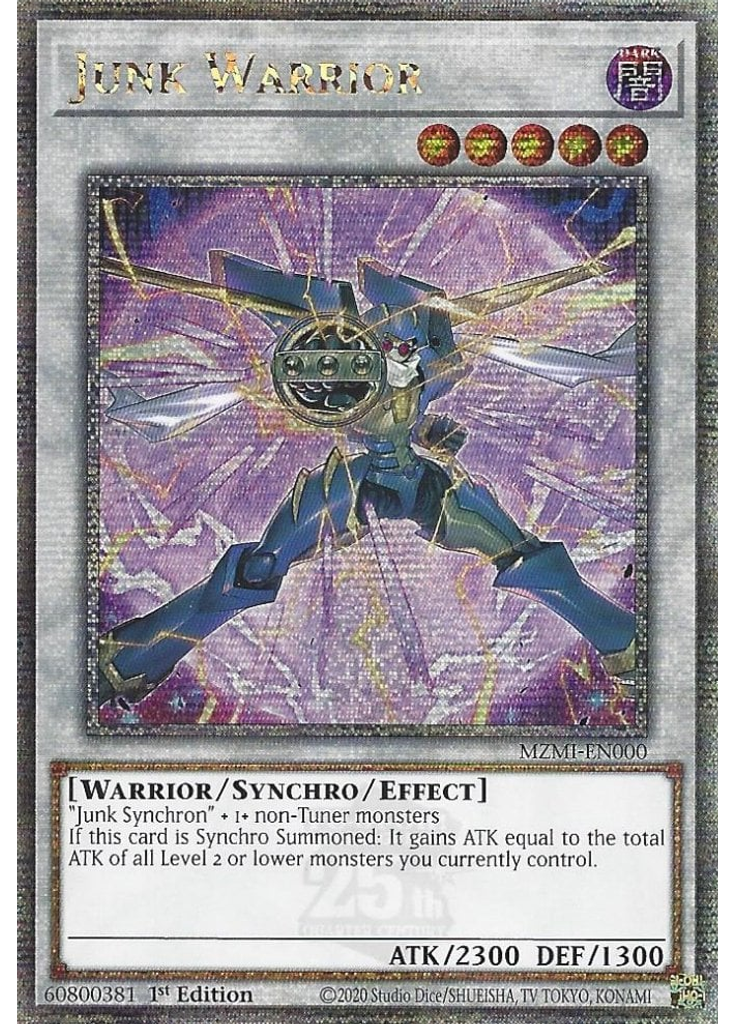Junk Warrior