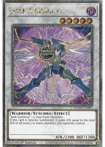 Junk Warrior