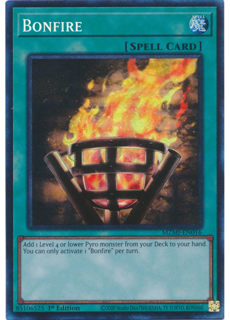 Bonfire (Collectors Rare 1st Edition)