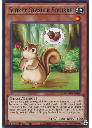Sloppy Stasher Squirrel