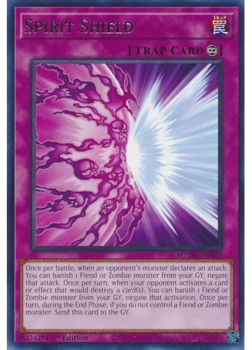 Spirit Shield