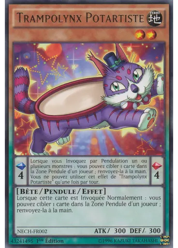 Trampolynx Potartiste