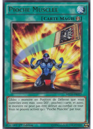 Pioche Musclée