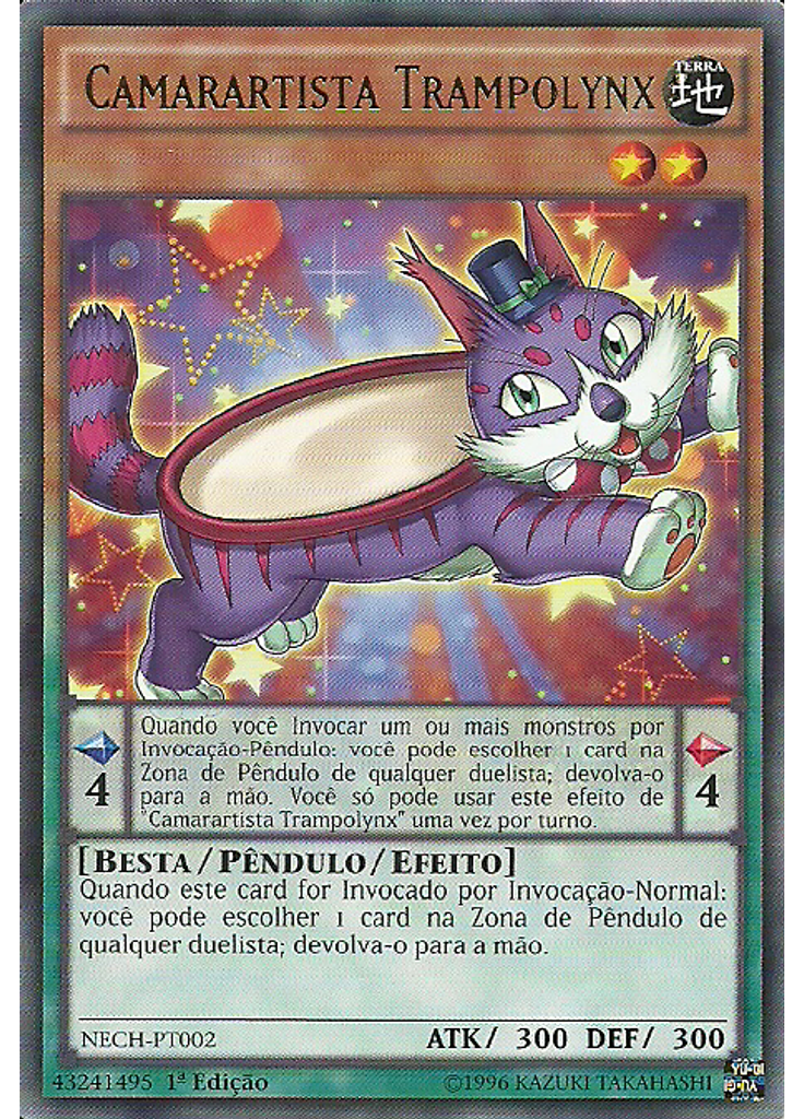 Camarartista Trampolynx
