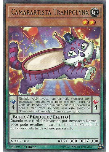 Camarartista Trampolynx