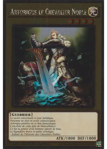 Artorigus le Chevalier Noble