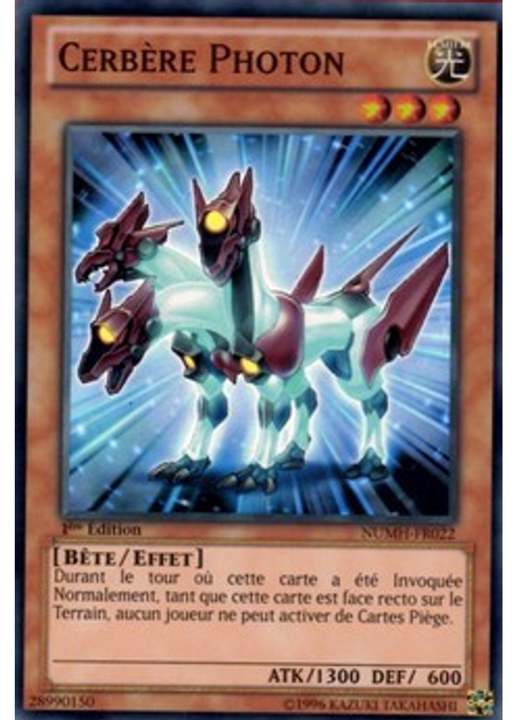 Cerbère Photon
