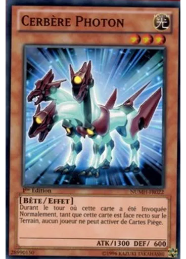 Cerbère Photon