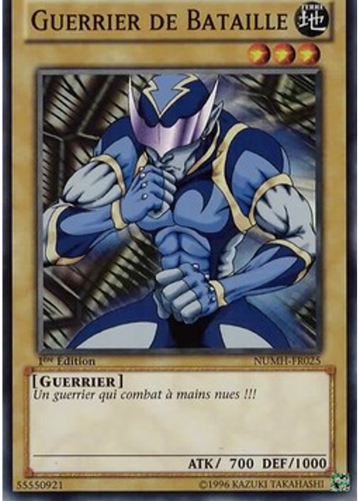 Guerrier de Bataille