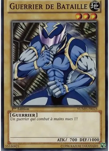 Guerrier de Bataille